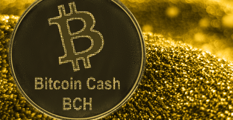 Bitcoin Cash exchange
