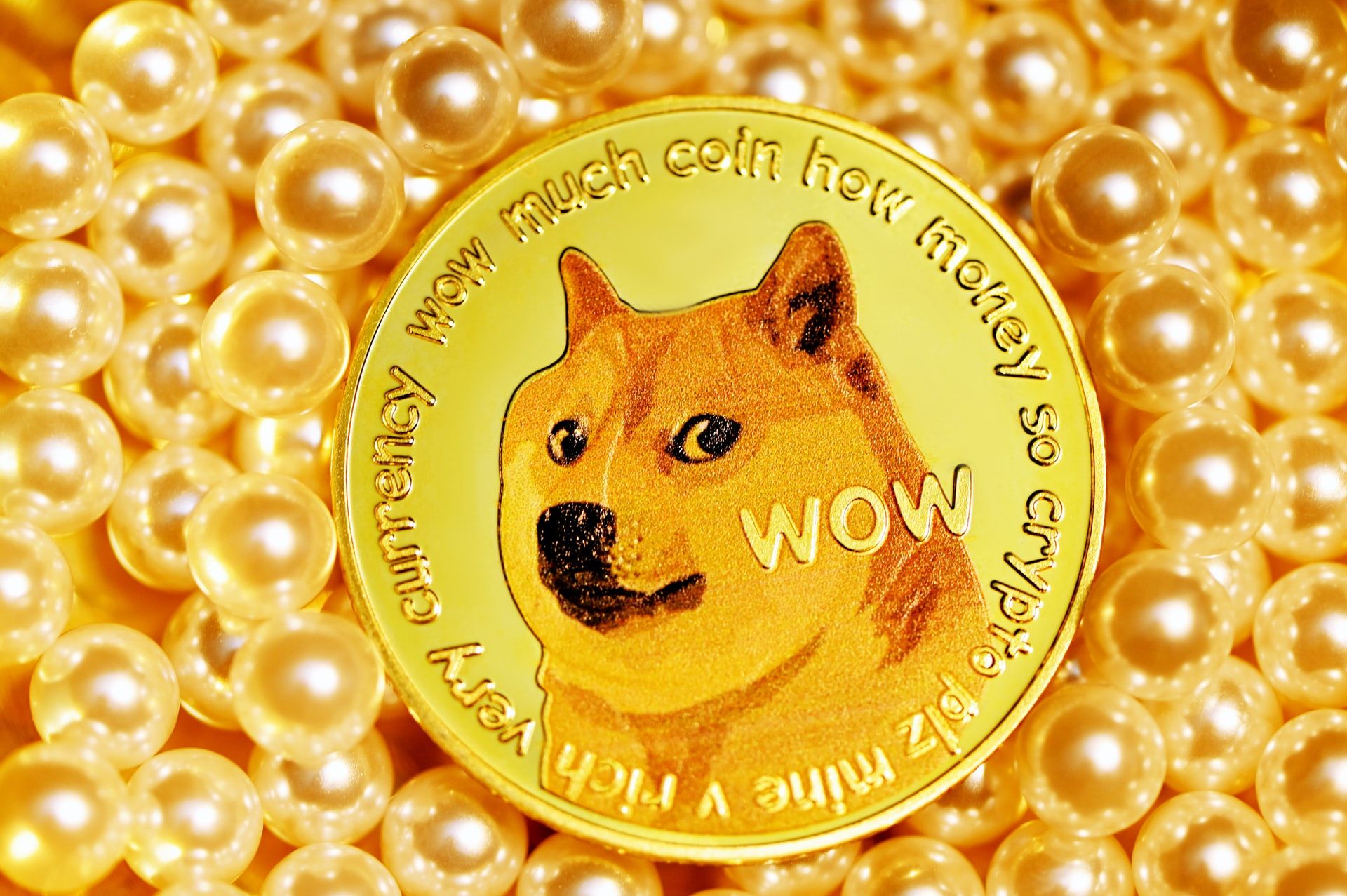 Future of Dogecoin currency history and forecasts